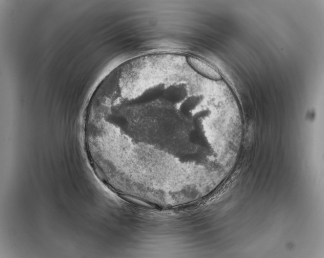 X0000098071243200805020950