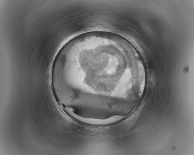 X0000098071246200805020950