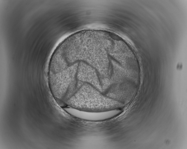 X0000098071248200805020950