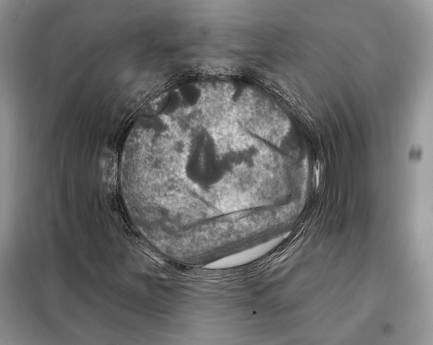 X0000098071251200805020949