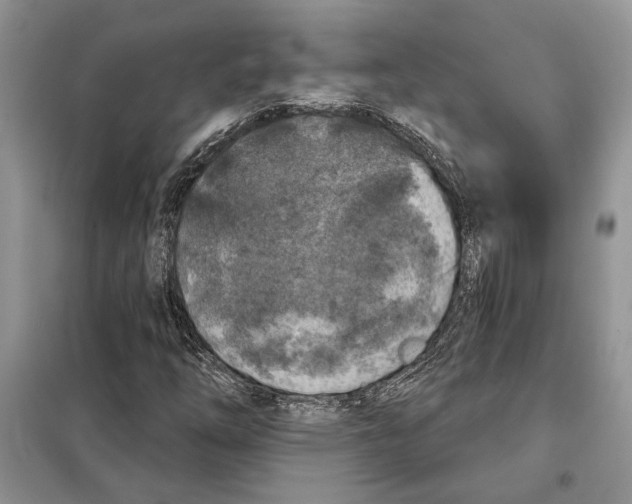 X0000098071254200805020949