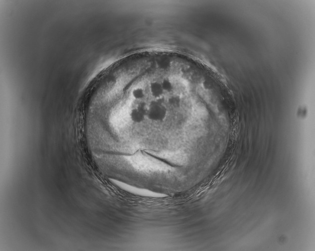 X0000098071255200805020949