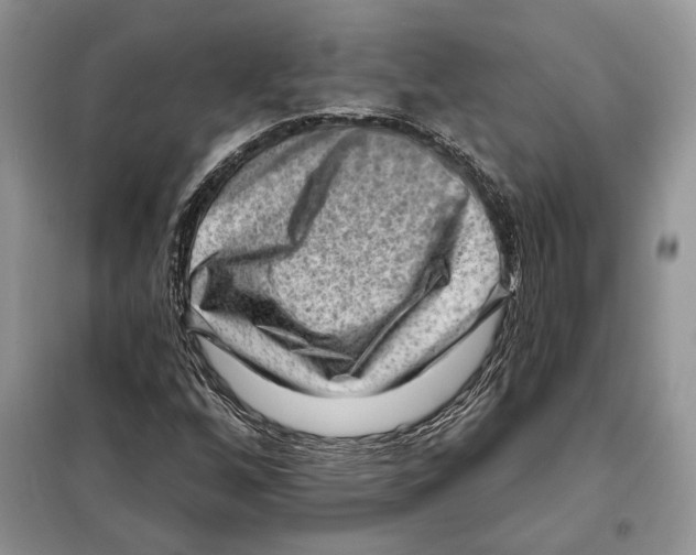 X0000098071256200805020949