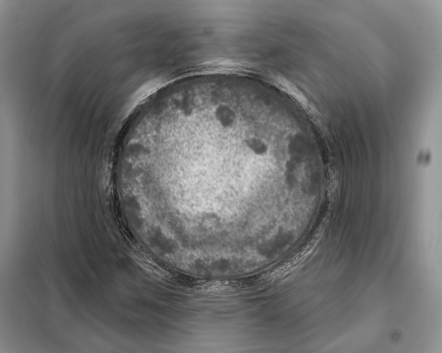 X0000098071259200805020949