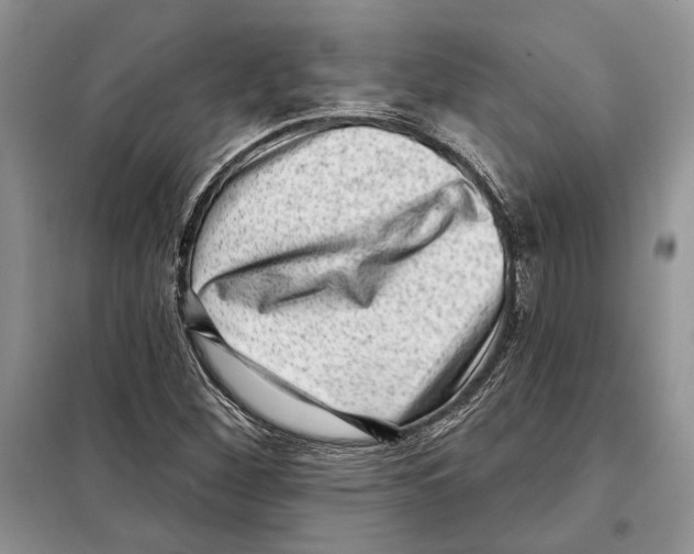 X0000098071260200805020949