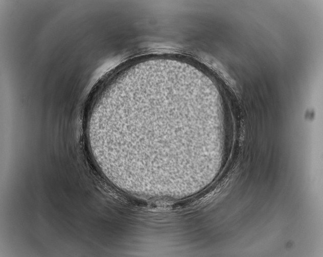 X0000098071261200805020949