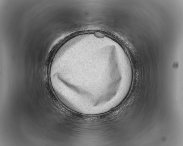 X0000098071262200805020949