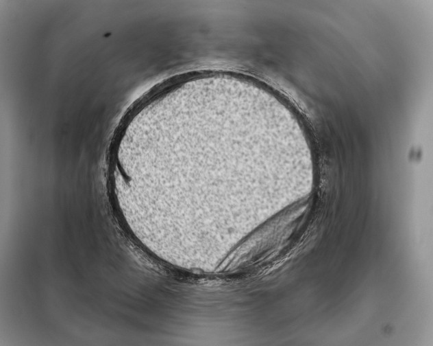 X0000098071264200805020949