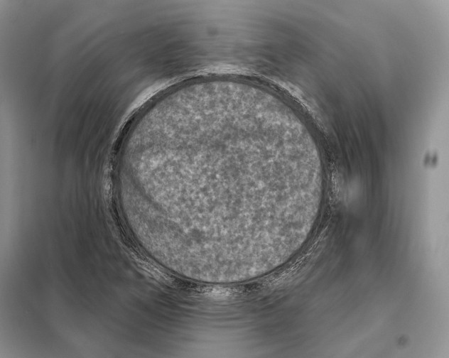 X0000098071266200805020949