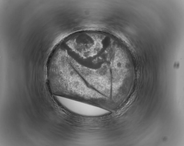 X0000098071267200805020949