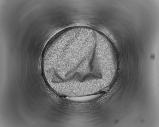 X0000098071268200805020949