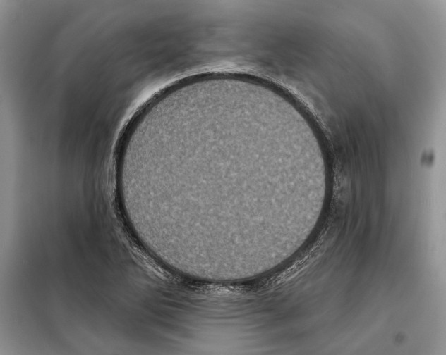 X0000098071270200805020949