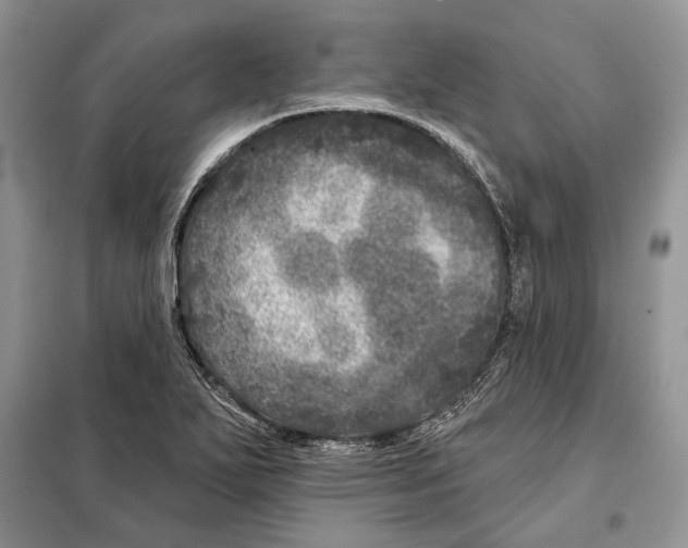 X0000098071271200805020949