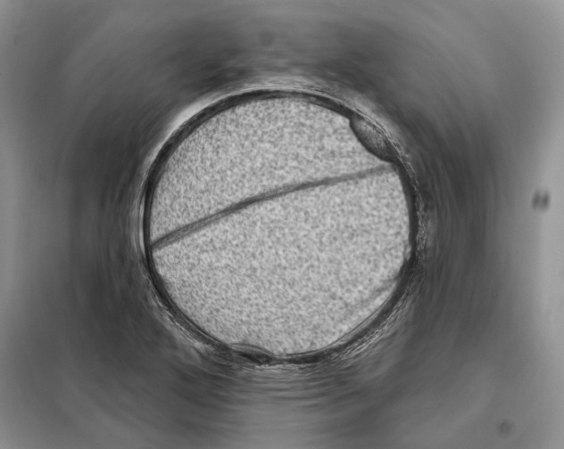 X0000098071272200805020949