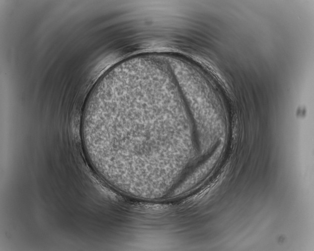 X0000098071273200805020949