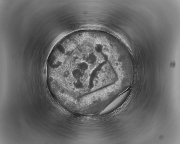 X0000098071275200805020949