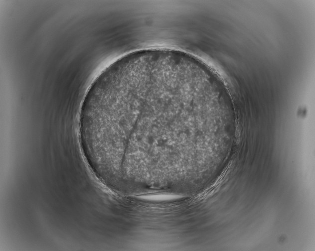 X0000098071279200805020949