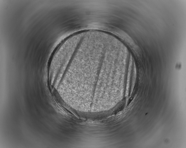 X0000098071280200805020949