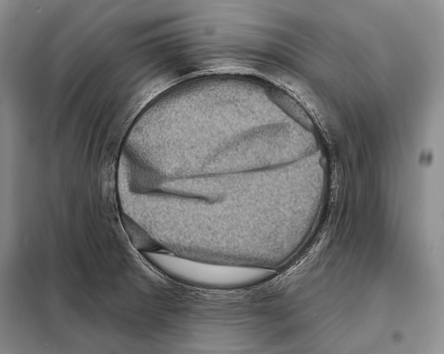 X0000098071281200805020949