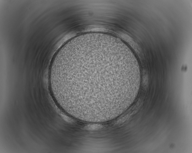 X0000098071282200805020949