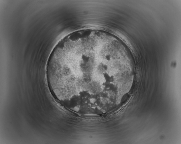 X0000098071283200805020949