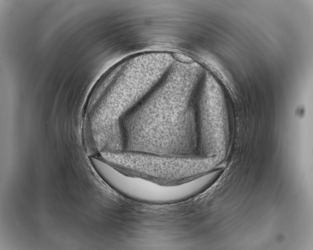 X0000098071284200805020949