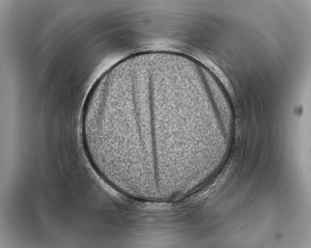 X0000098071285200805020949