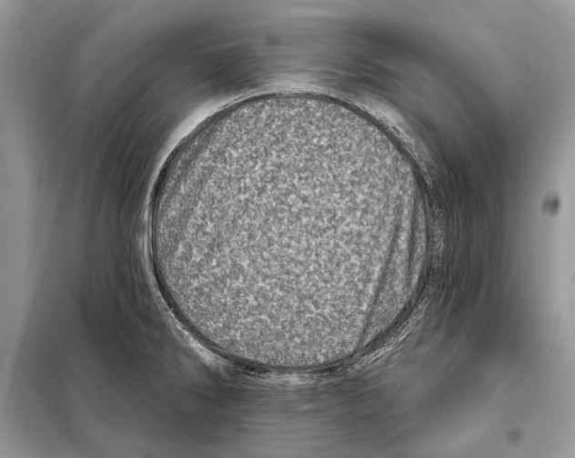 X0000098071286200805020949