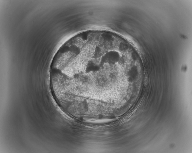 X0000098071287200805020949