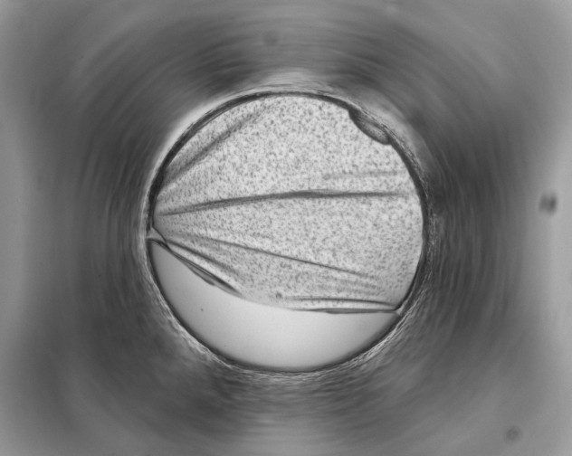 X0000098071288200805020949