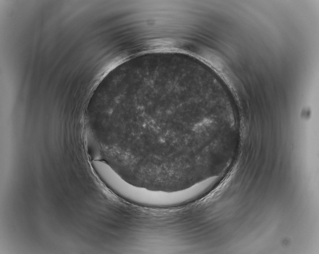 X0000098071289200805020949