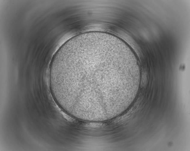 X0000098071290200805020949