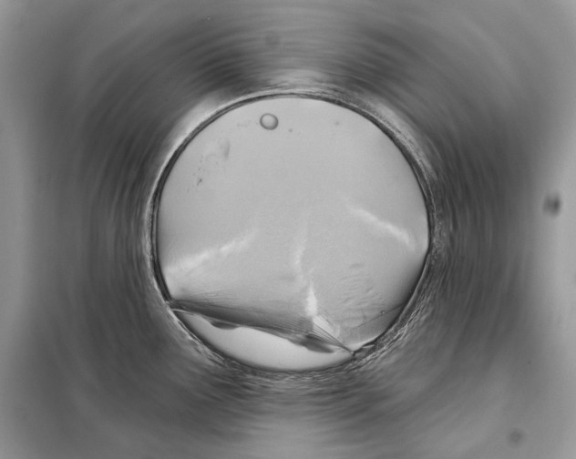 X0000098071291200805020949