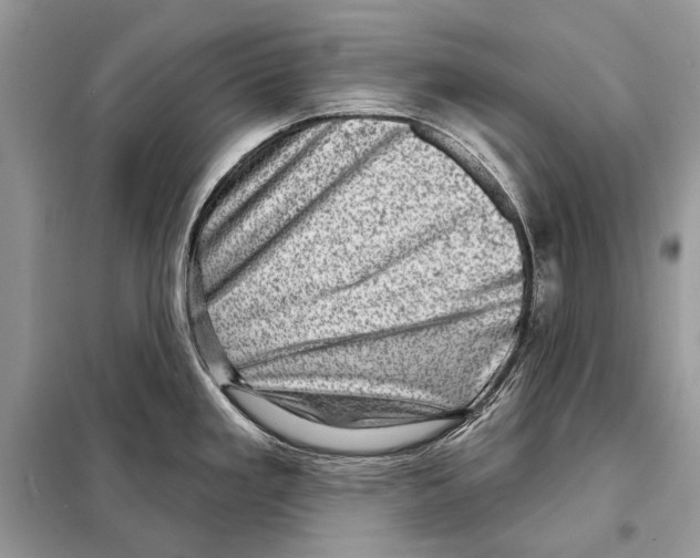 X0000098071293200805020949