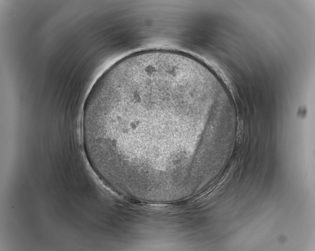 X0000098071295200805020949