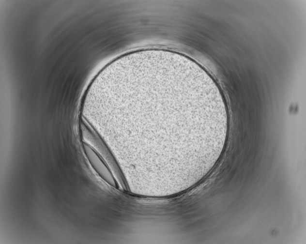 X0000098071296200805020949