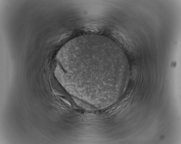 X0000098071297200805020948