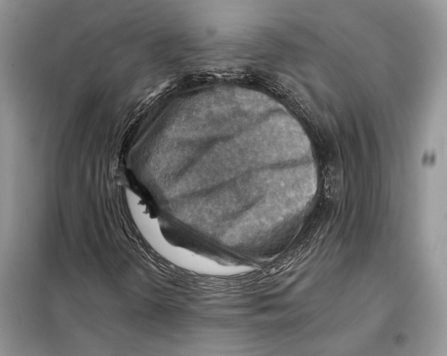 X0000098071298200805020948