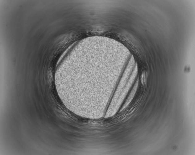 X0000098071299200805020948