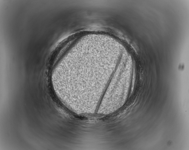 X0000098071304200805020948