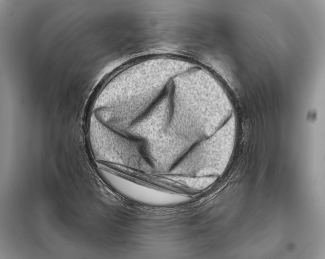 X0000098071308200805020948