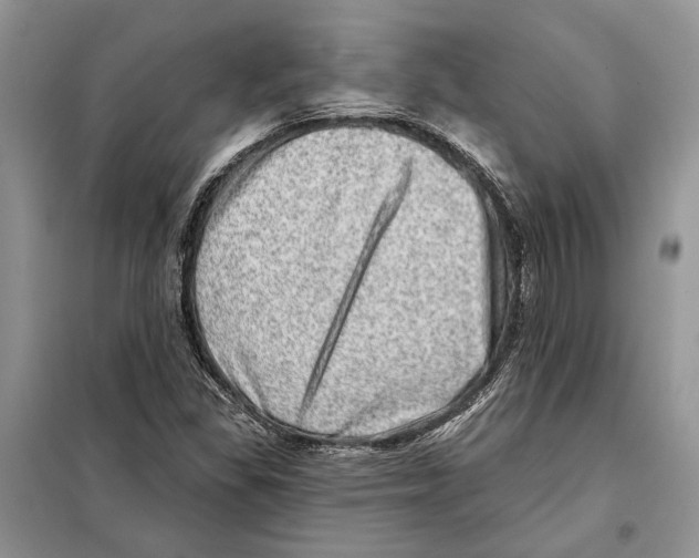 X0000098071309200805020948