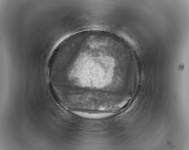 X0000098071310200805020948