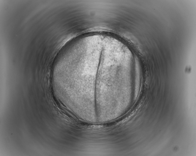 X0000098071313200805020948