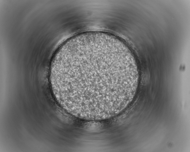 X0000098071314200805020948