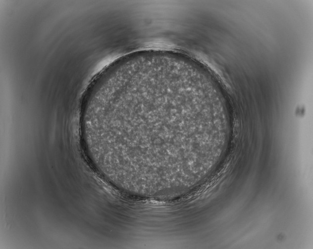 X0000098071315200805020948