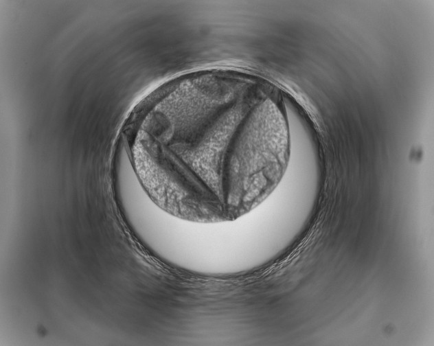 X0000098071316200805020948