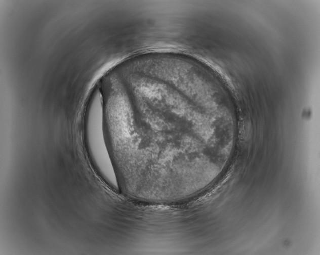 X0000098071317200805020948