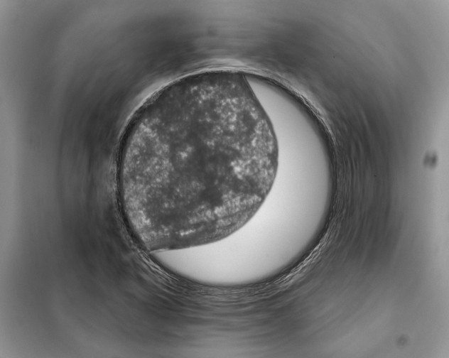 X0000098071318200805020948