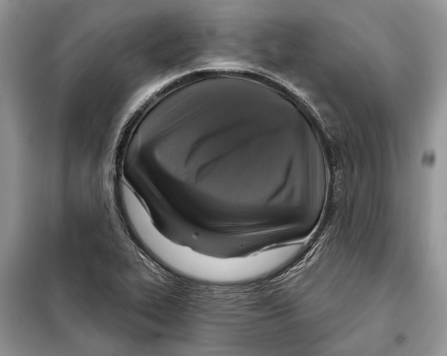 X0000098071319200805020948